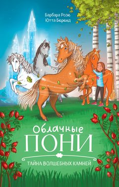 Облачные пони. Тайна волшебных камней., Барбара Розе