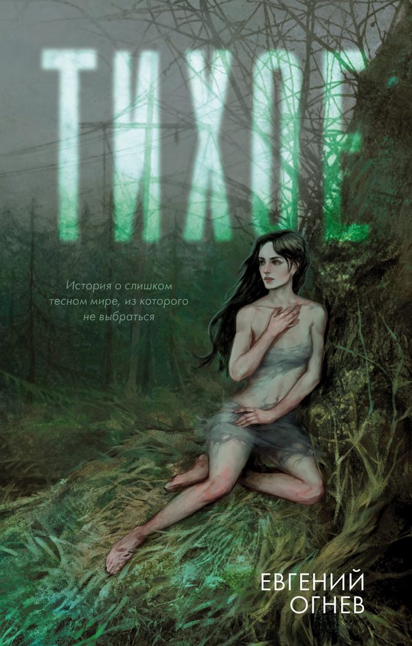 Обложка книги «Тихое», Евгений Огнев